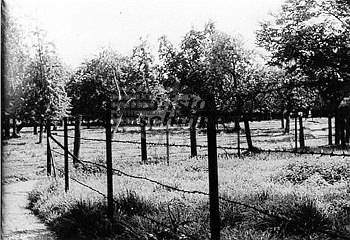 Stegelen in Oirsbeek