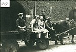 Op de boerenkar naar het land. Foto uit de collectie van fotograaf Ad Latten uit Oirsbeek.