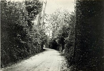 Holleweg